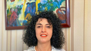 Irans Beh&ouml;rden verweigern &auml;rztliche Untersuchung f&uuml;r inhaftierte Aktivistin Mohammadi