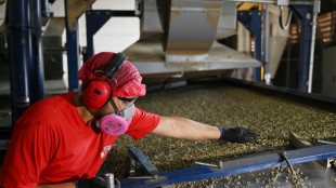 Economia do Brasil cresce 1,4% no 2&ordm; trimestre de 2024