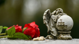 Weniger Sterbefälle im zweiten Quartal - Anstieg aber während Hitzewelle