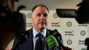 Orsini, 'Ue sia unita sui dazi, Meloni costruisca un ponte'