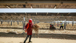 Studie: Chinas CO2-Emissionen wegen massiven Ausbaus der Erneuerbaren r&uuml;ckl&auml;ufig