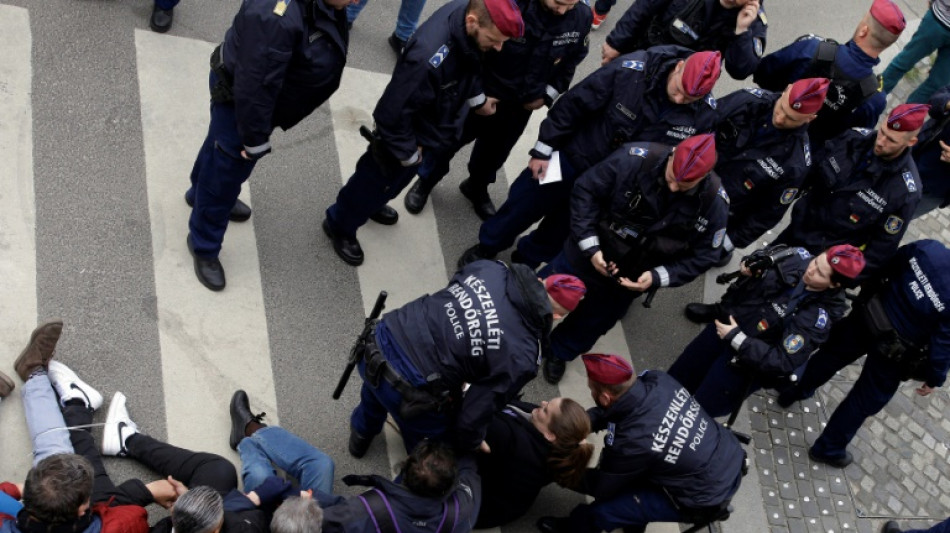 Hungarian lawmakers back constitutional curbs on LGBTQ people, dual nationals