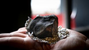 Amateur astronomers help track asteroid to French impact site