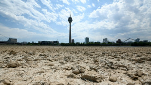 2022 Europe's hottest summer on record: EU&nbsp;monitor 