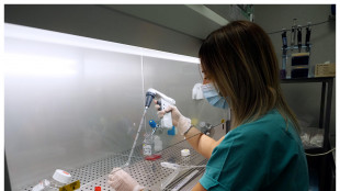 Una molecola smart contro l'Alzheimer, aiuta le difese naturali