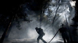 Greece declares emergency on Chios over wildfires