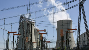 Tschechien beauftragt Südkoreaner KHNP mit Bau neuer Kernreaktoren