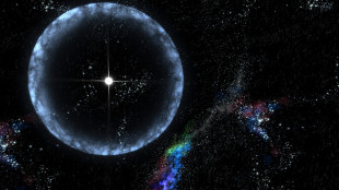 Ha viaggiato per 10 miliardi di anni, rilevato il pi&ugrave; distante lampo radio veloce