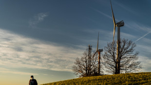 Mase accelera su valutazione ambientale per infrastrutture energia