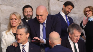 Crosetto 'rapporto con Usa saldissimo, non ho capito atteggiamento Trump'