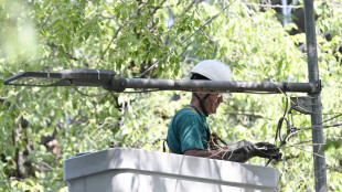 Ocse, salari reali torneranno a calare dello 0,9% nel 2026