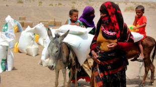 Organisationen erwarten Rückgang der Entwicklungsausgaben und warnen vor Folgen