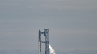 SpaceX aplaza un vuelo de prueba de su megacohete Starship