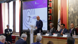 Fontana, la diplomazia parlamentare è uno strumento prezioso