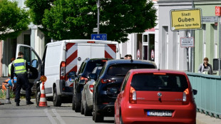 Wirtschaftsvertreter besorgt über Auswirkungen von polnischen Grenzkontrollen