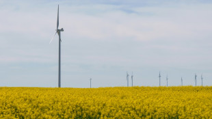 Energias renov&aacute;veis na mira ap&oacute;s grande apag&atilde;o na Espanha