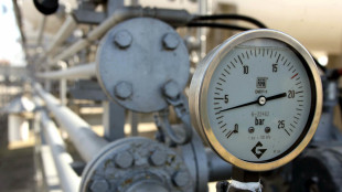 Il prezzo del gas &egrave; in calo a 76,9 euro al megawattora