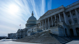 Streit um ICE f&uuml;hrt zu dritter Haushaltssperre unter Trump 
