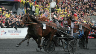 Lancement du meeting d'hiver jeudi &agrave; Vincennes avec l'&eacute;lite du trot mondial