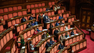 Al Senato il governo chiede il voto di fiducia sul Piano casa