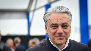 Renault-Chef De Meo verlässt französischen Autobauer