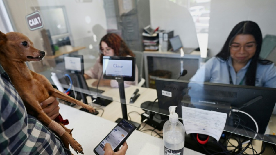 El Salvador lucrou US$ 443 milh&otilde;es com alta do bitcoin desde 2021