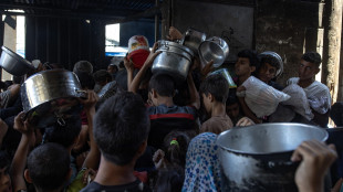 Ue, 'a Gaza catastrofe, scorte alimentari esaurite'