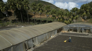 El desempleo marca otro r&eacute;cord positivo en Brasil