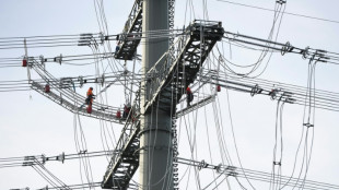 Verbraucherschützer fordern schnellere Entlastungen bei Netzentgelten