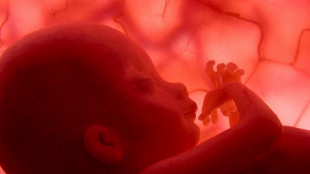 Identificate 300 malattie genetiche curabili gi&agrave; prima del parto