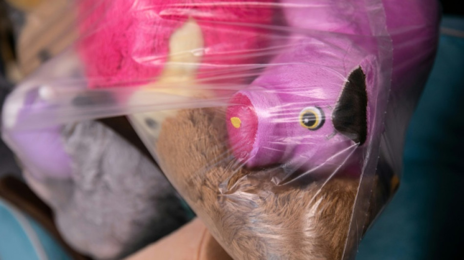 Rabiate Aufräummethode alarmiert Polizei: Junge wirft Stofftiere aus Dachfenster