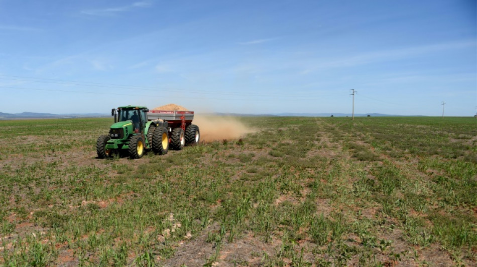 Erzeugerpreise f&uuml;r landwirtschaftliche Produkte steigen kaum noch