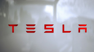 EU-Neuwagenmarkt leicht im Plus - deutlicher Anstieg bei E-Autos außer bei Tesla