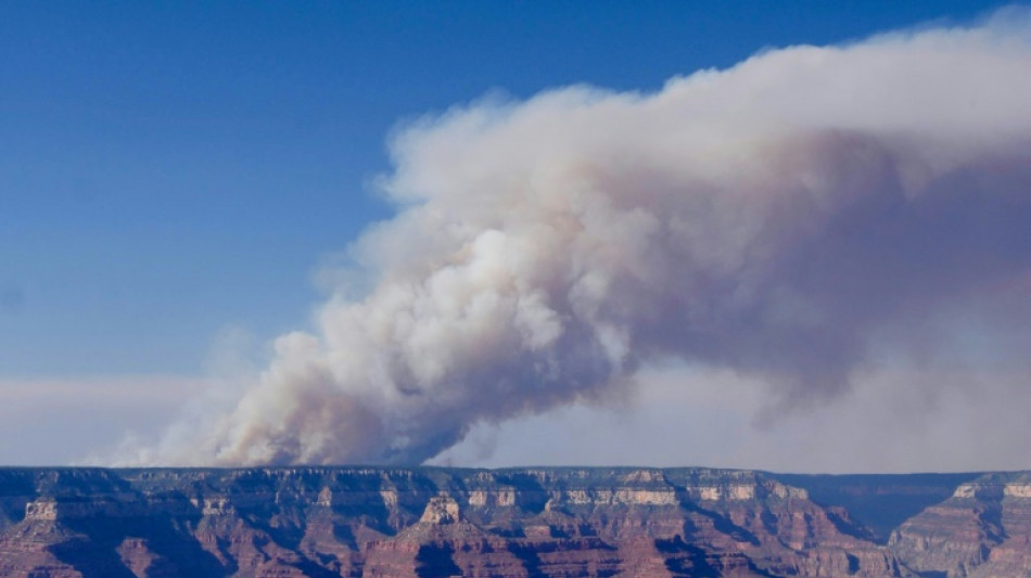Un incendie ravage depuis un mois une partie du Grand Canyon