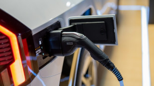 Branchenverband: Ladesäulen-Angebot für aktuelle Anzahl E-Autos sehr hoch