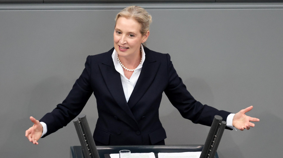 Alice Weidel, 'Schengen non funziona, espellere i migranti'
