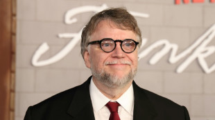 Guillermo del Toro promueve creación de un estudio de "stop motion" en París