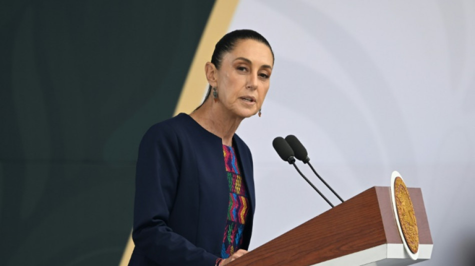 Zollkonflikt: Trump gewährt Mexiko Aufschub um 90 Tage