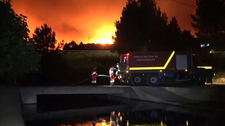 Le Portugal et l'Espagne mobilisés face aux feux de forêt