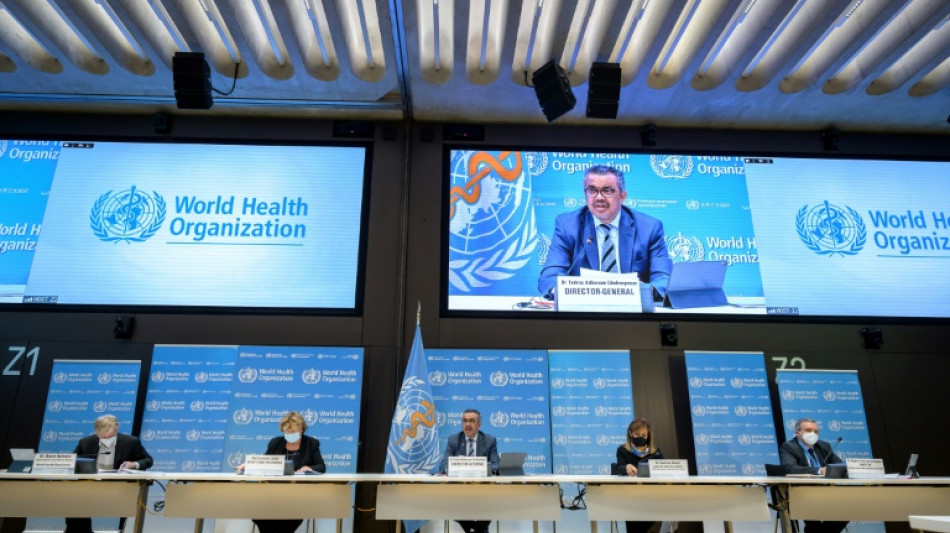 Discriminaciones por edad en inteligencia artificial amenazan la salud de los mayores, seg&uacute;n la OMS