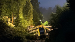 Drei Tote und mehrere Verletzte bei schwerem Zugunglück in Baden-Württemberg 