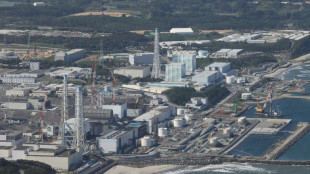 Fukushima: deuxi&egrave;me &eacute;chantillon de d&eacute;bris radioactifs retir&eacute; d'un r&eacute;acteur accident&eacute; en 2011