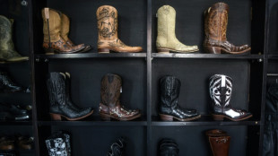 Indonesian shoemakers fear Trump tariffs despite lower levy