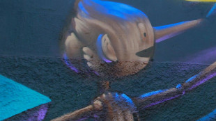 &Egrave; pi&ugrave; facile credere alle bugie quando promettono un guadagno