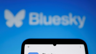 X rival Bluesky adds blue checks for trusted accounts