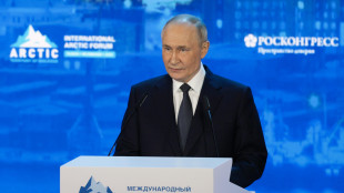 Putin, 'economia e finanze russe stabili e soddisfacenti'