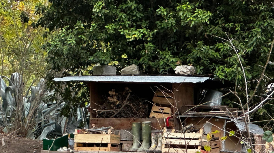 Famiglia bosco, genitori convocati giovedì in Tribunale