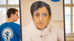 La premio Nobel Mohammadi contro Trump e i raid d'Israele