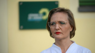 "Europa verteidigen": Brantner fordert im Zollstreit mehr Härte von Merz