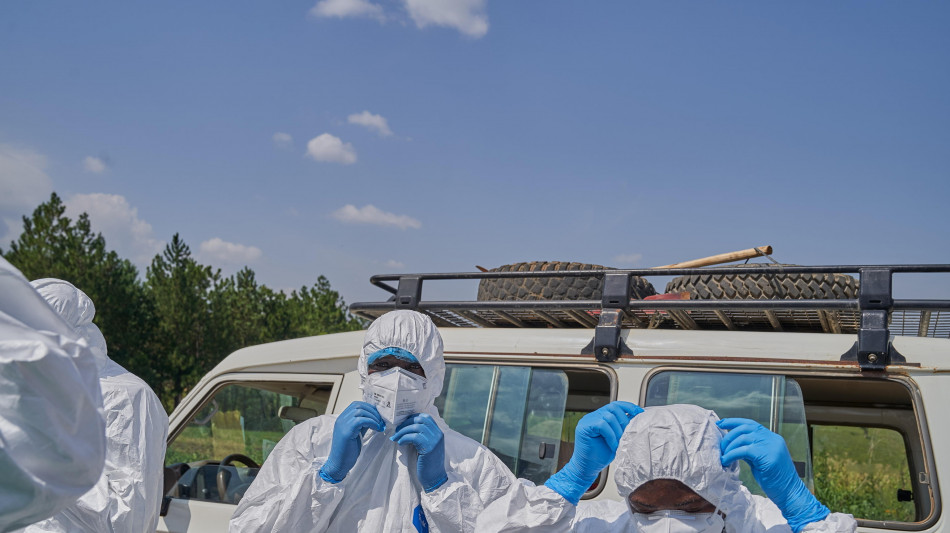 Ecdc, 'Stati Ue rafforzino la preparazione contro i casi di Ebola'